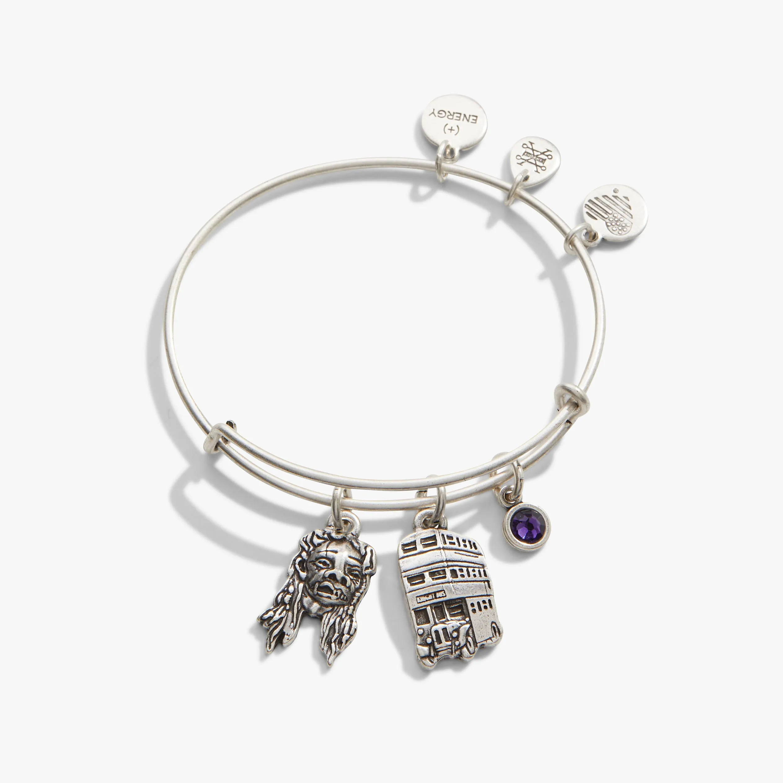 Harry Potter™ Knight Bus Trio Charm Bangle sold by Alex and Ani