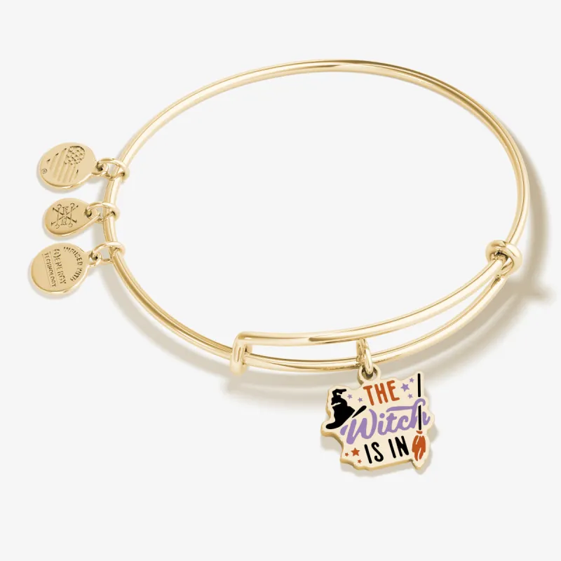 'The Witch Is In' Charm Bangle Bracelet sold by Alex and Ani