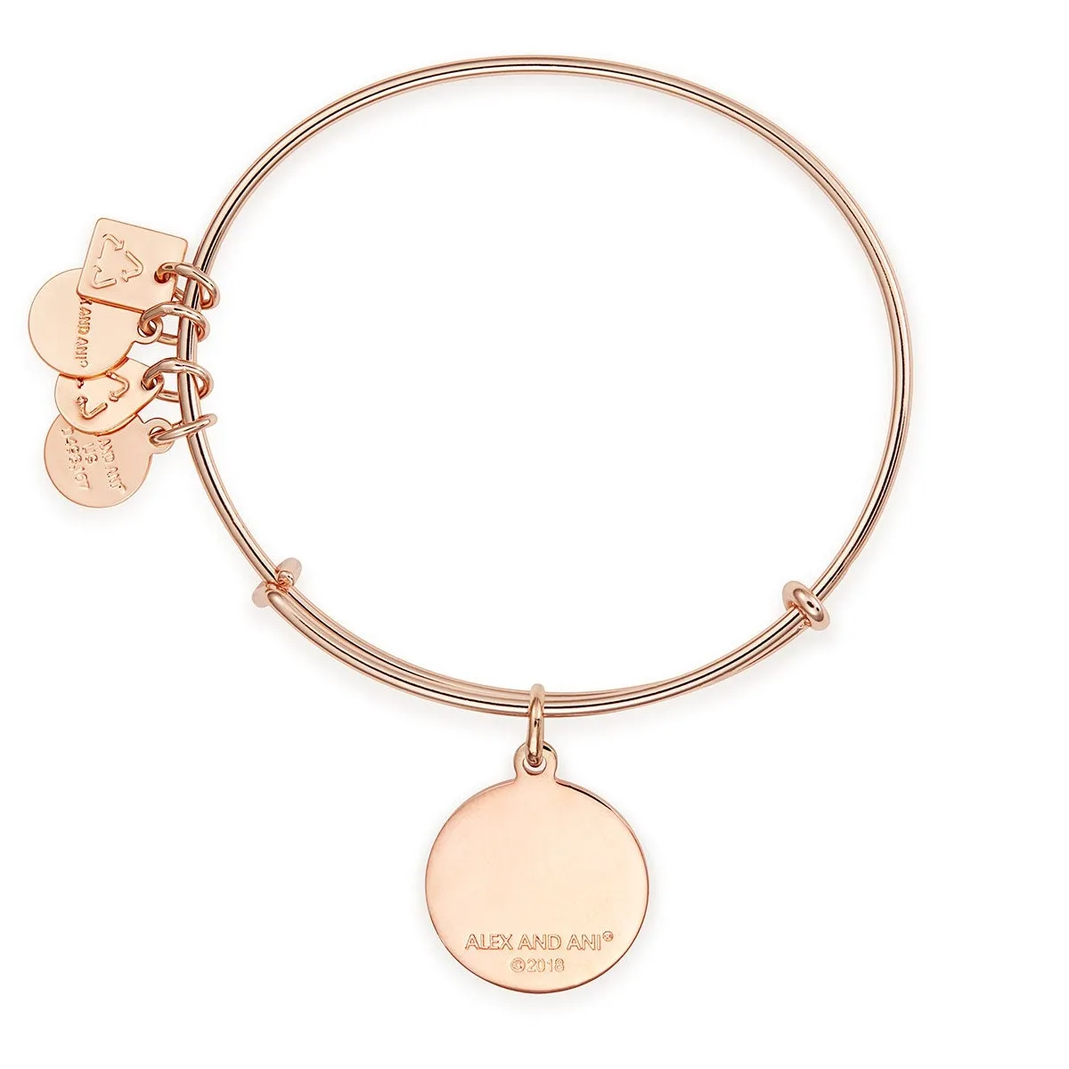 'Be Yourself' Charm Bangle sold by Alex and Ani product image thumbnail 4