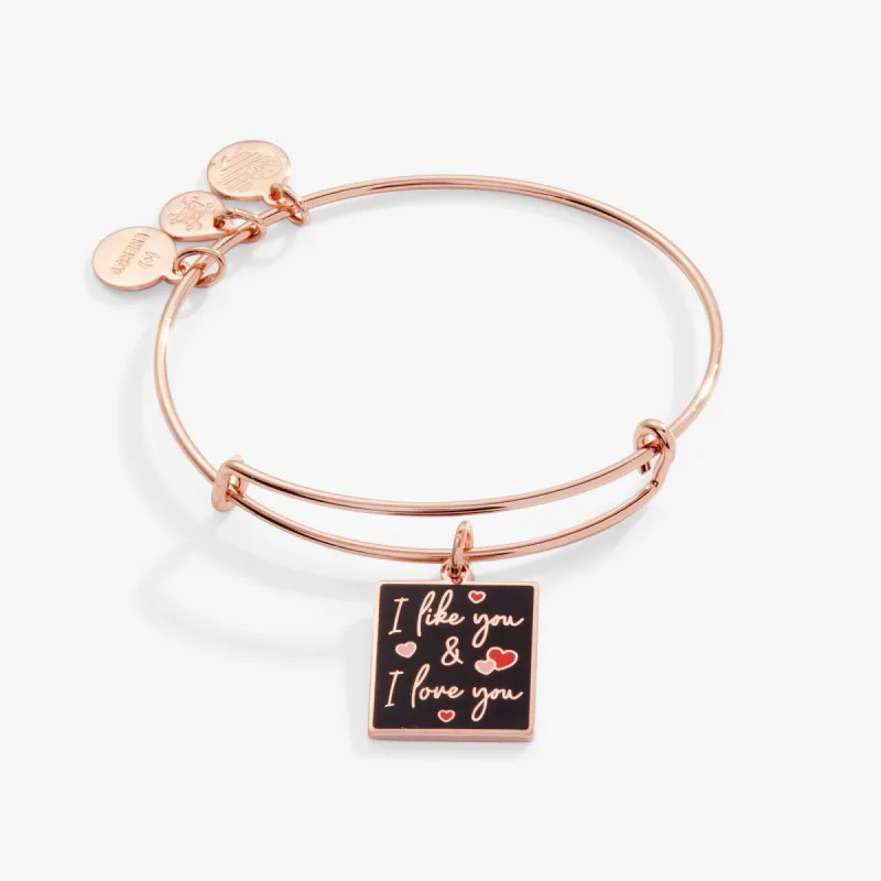 'I Like You + I Love You' Charm Bangle Bracelet sold by Alex and Ani