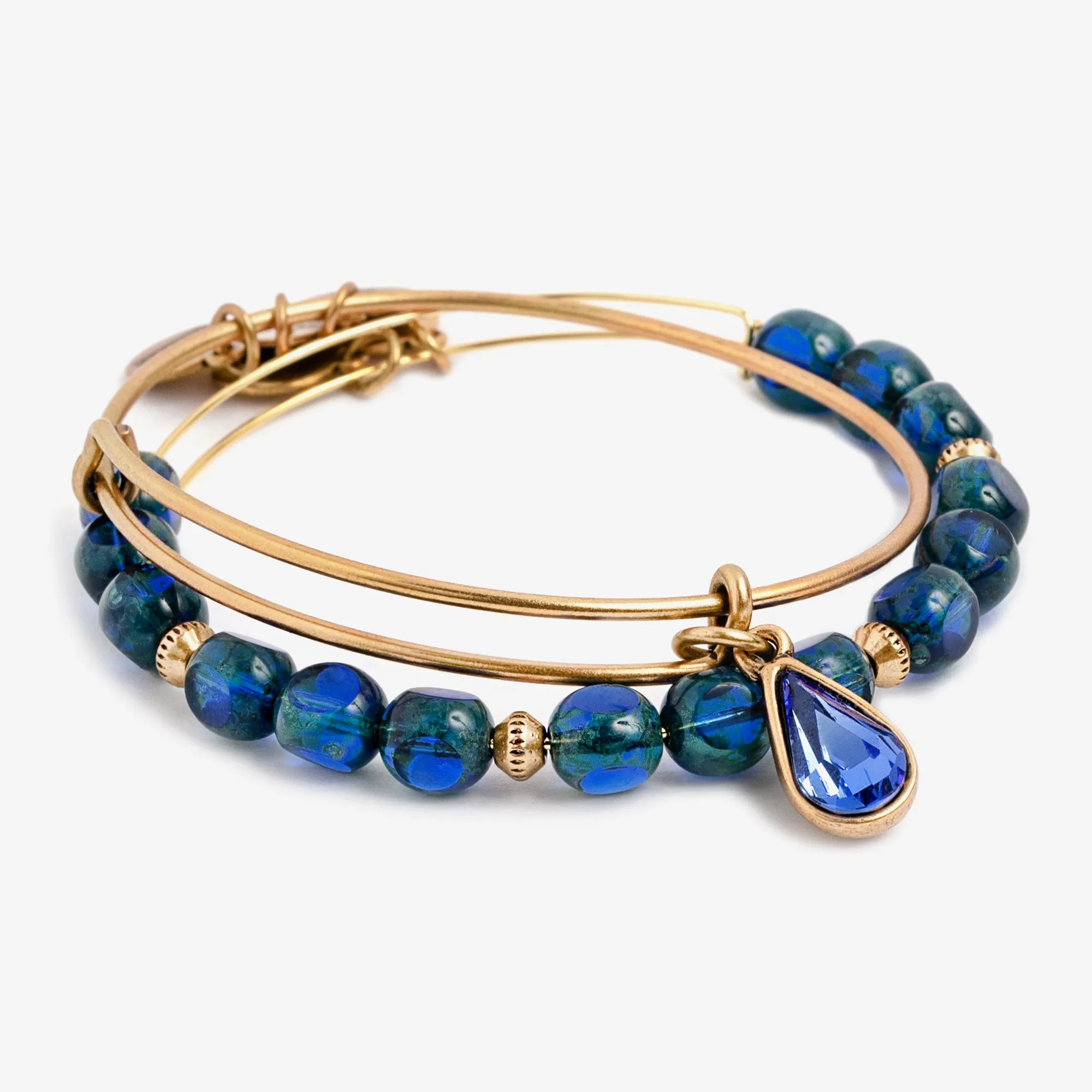 Crystal Infusion Wisdom Charm Bangle, Set of 2 sold by Alex and Ani