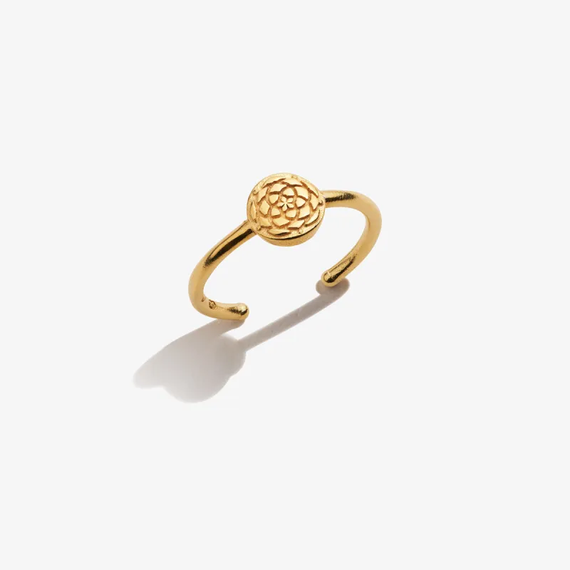 New Beginnings Ring sold by Alex and Ani