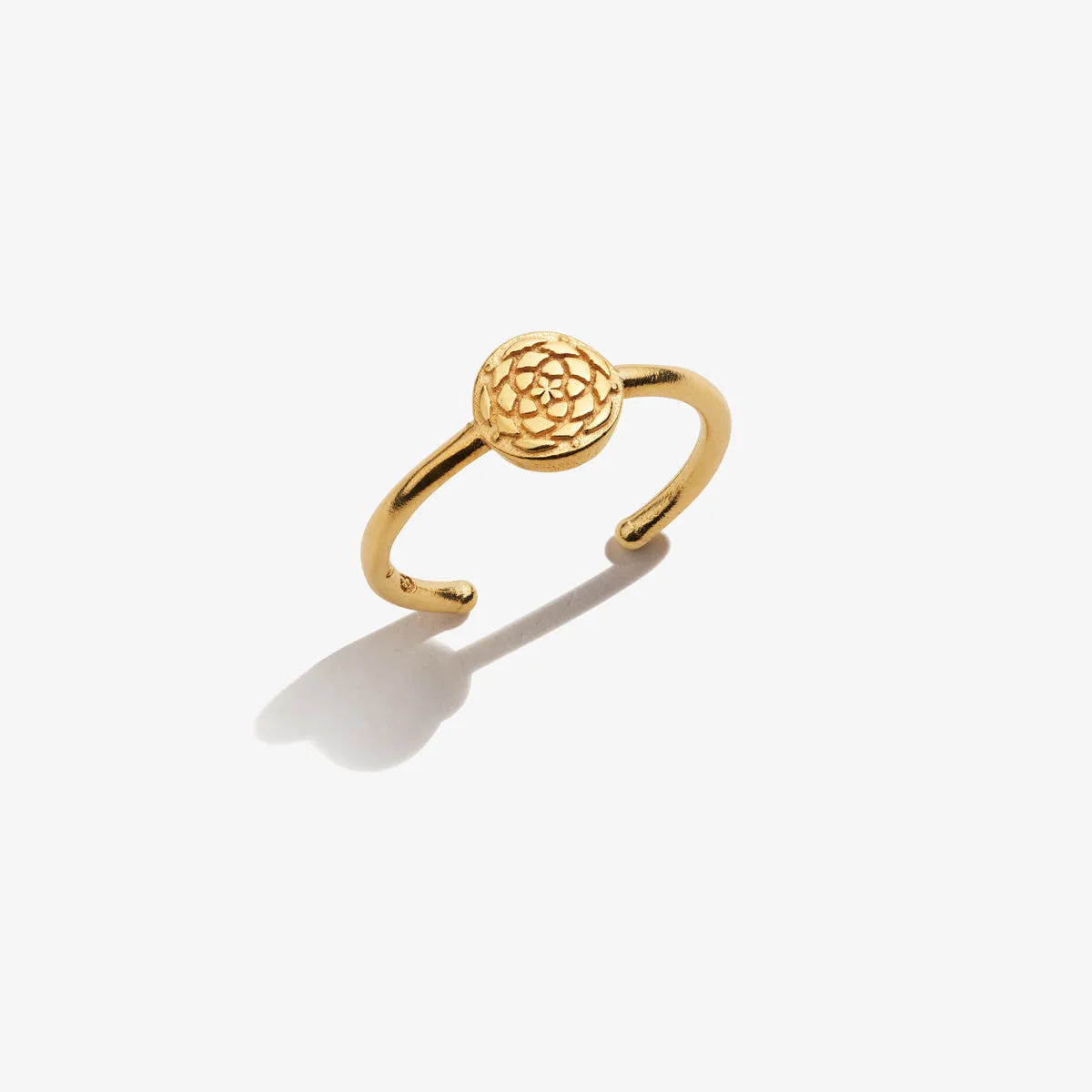 New Beginnings Ring sold by Alex and Ani