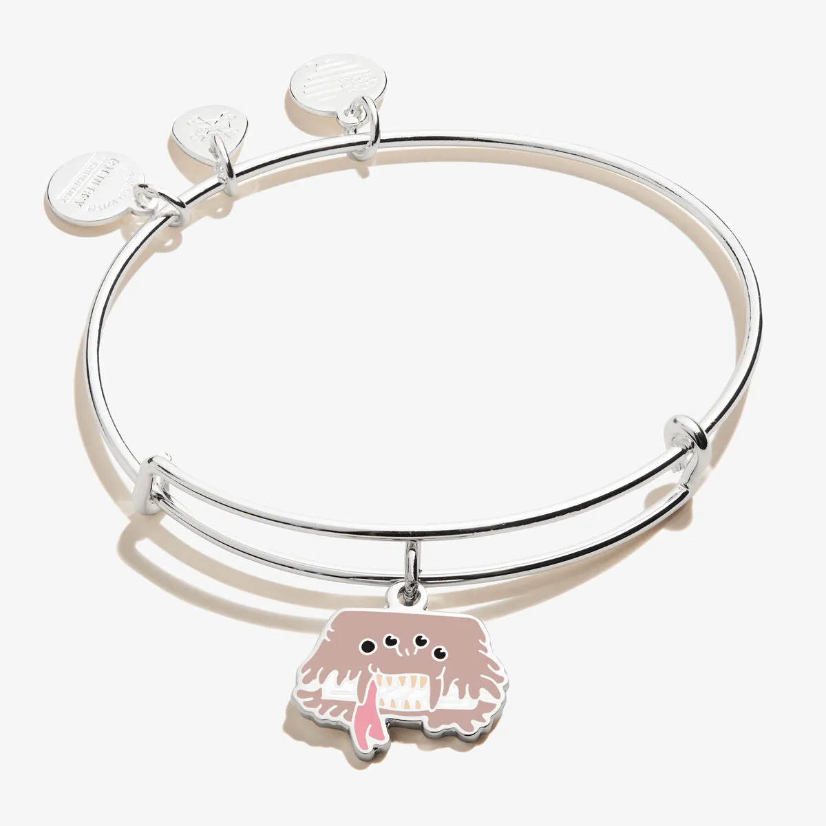 Harry Potter™ Monster Book of Monsters Charm Bangle sold by Alex and Ani