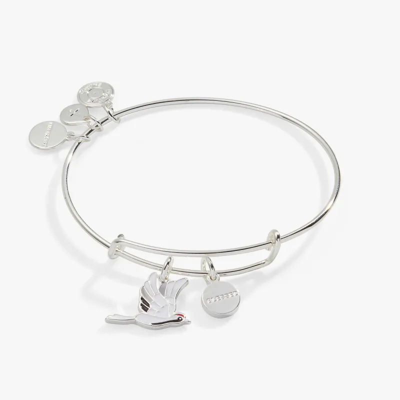 'Blessed' Crane Duo Charm Bangle Bracelet sold by Alex and Ani