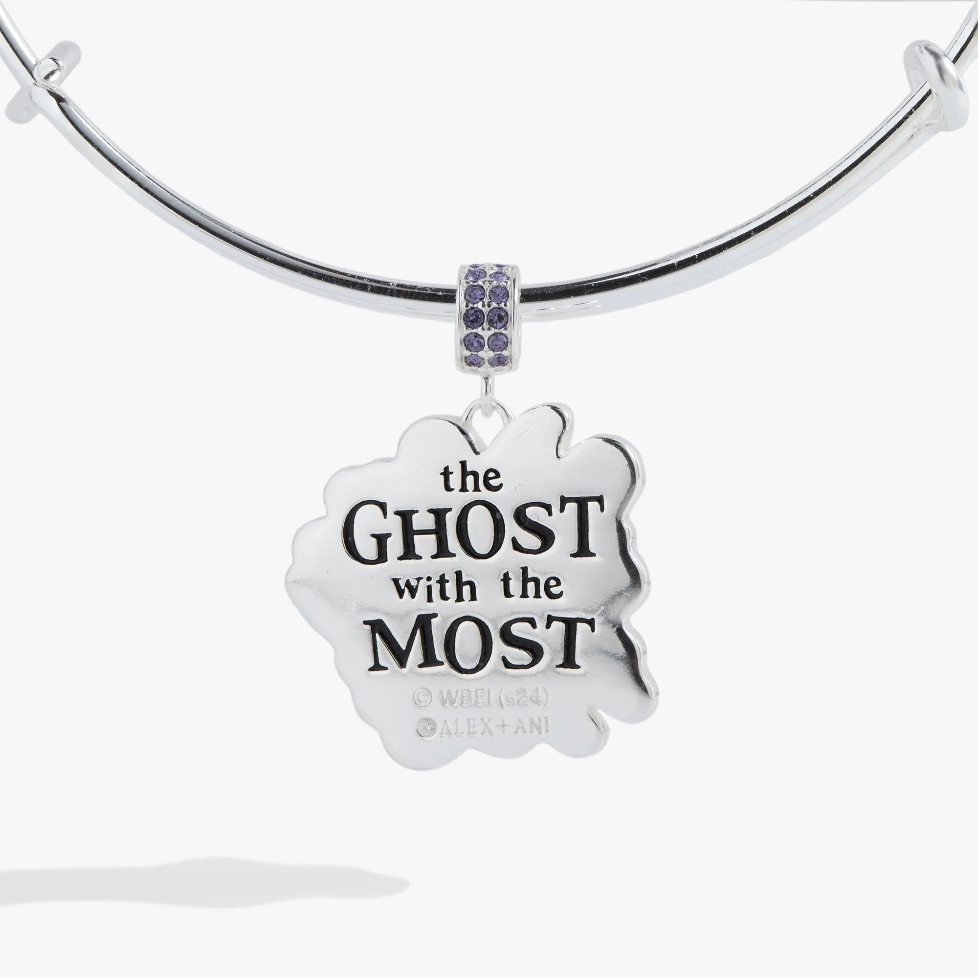 BEETLEJUICE™ Charm Bangle sold by Alex and Ani product image thumbnail 3