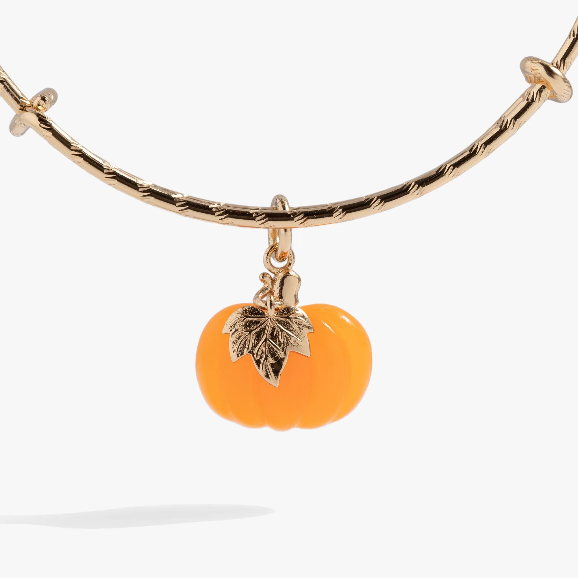 Pumpkin Textured Bangle sold by Alex and Ani product image thumbnail 2