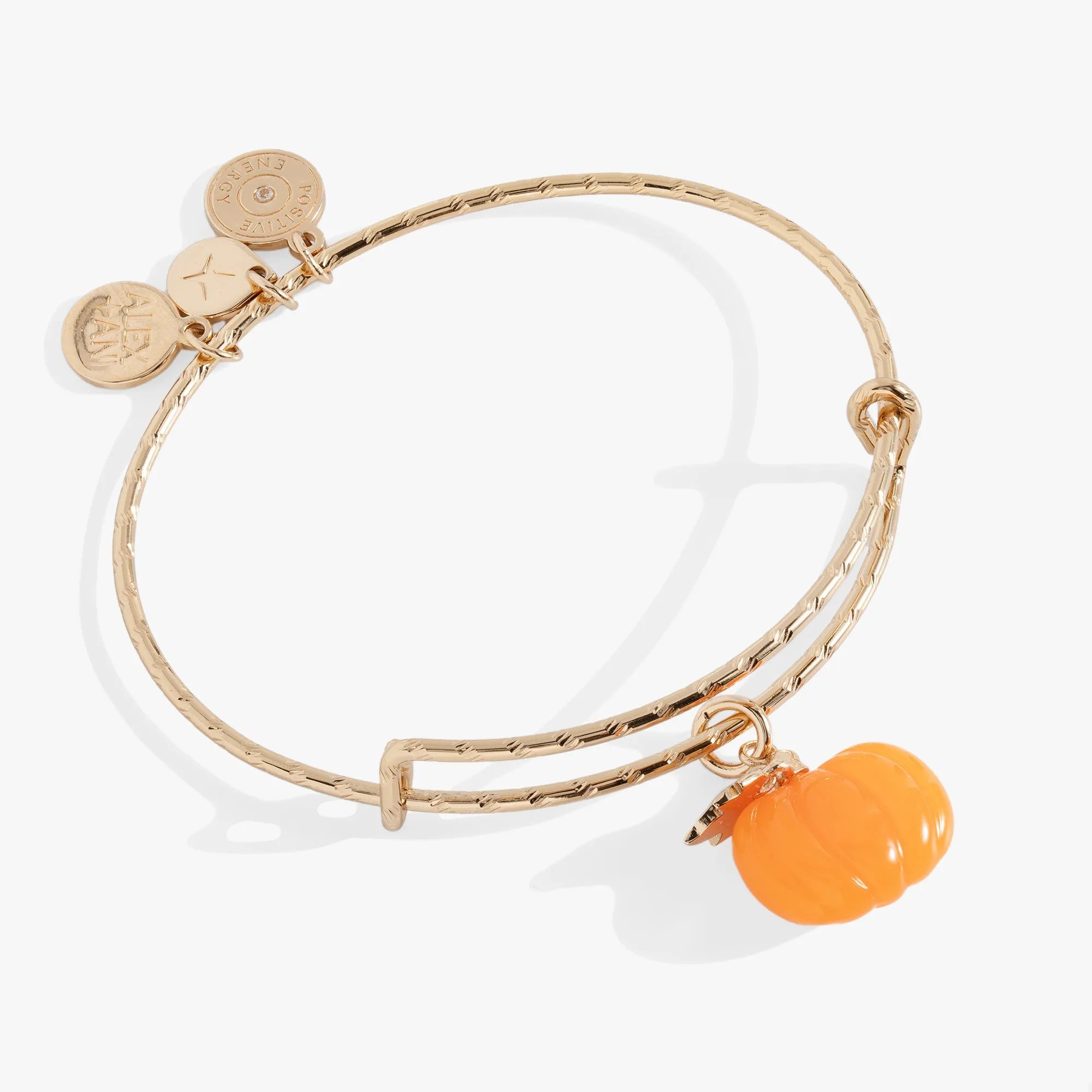 Pumpkin Textured Bangle sold by Alex and Ani