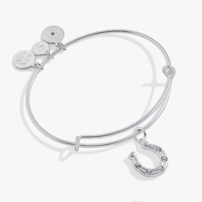 Horseshoe Charm Bangle sold by Alex and Ani