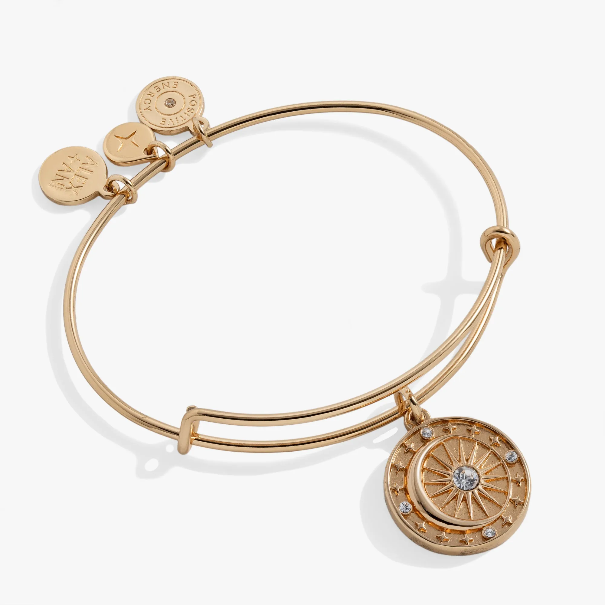 Cosmic Balance Charm Bangle sold by Alex and Ani