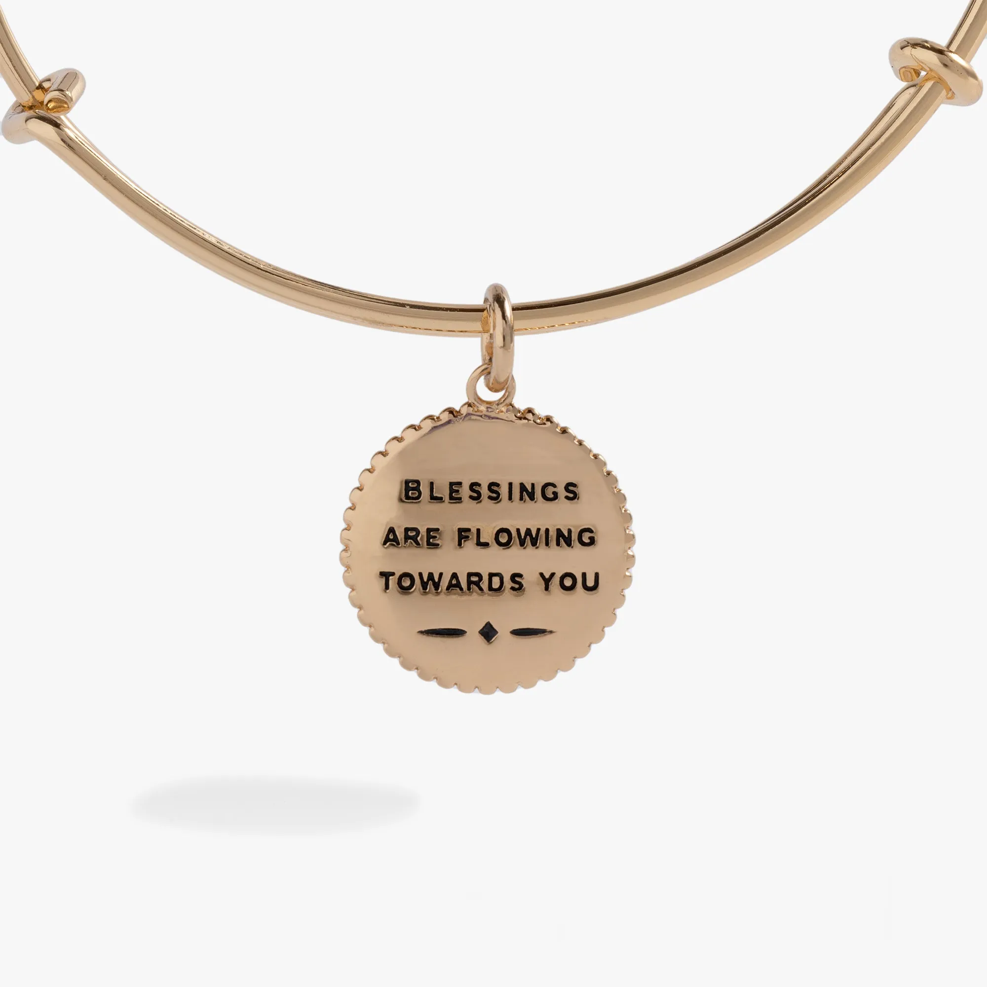Sand Dollar Charm Bangle sold by Alex and Ani product image thumbnail 3