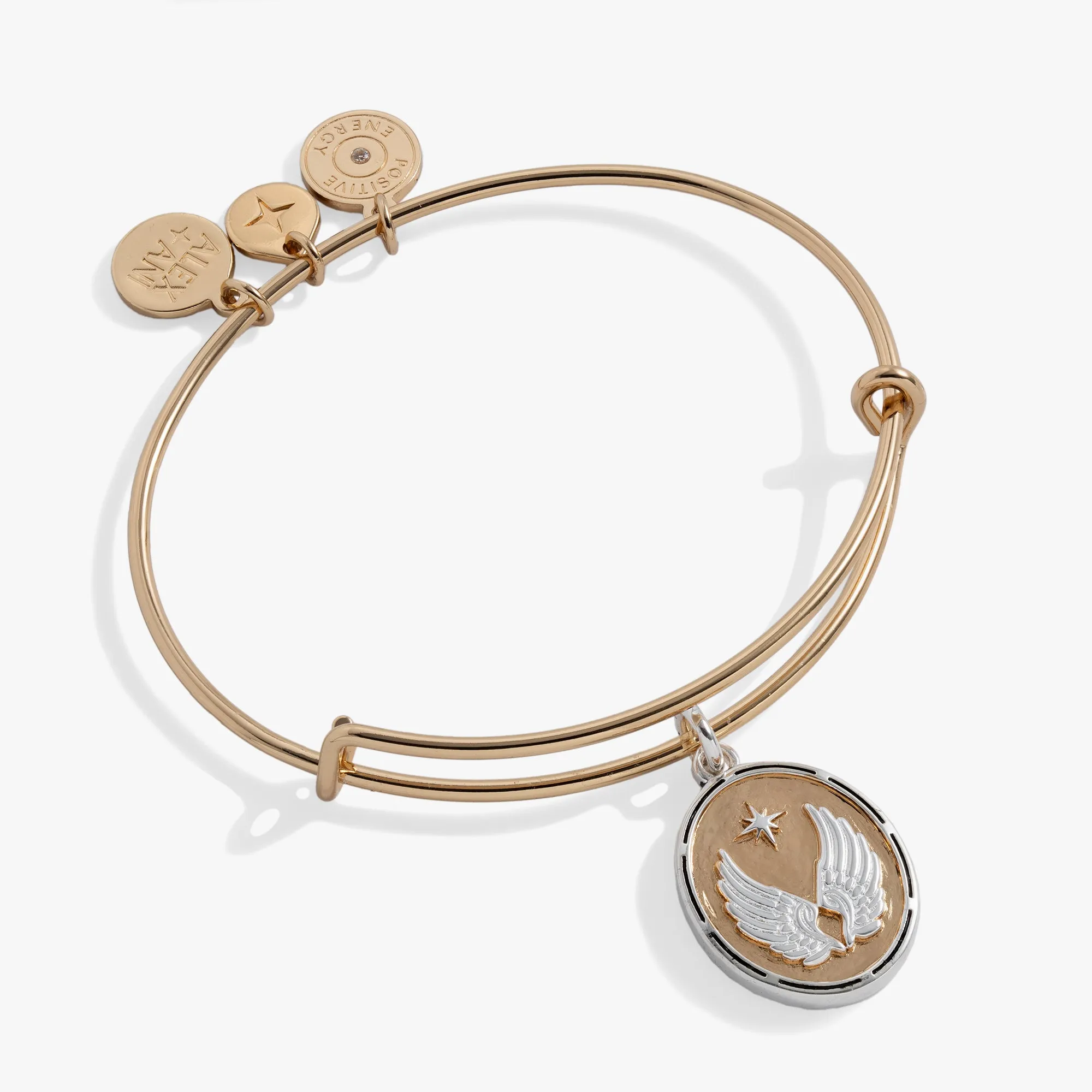 Two-Tone Guardian Angel Bangle sold by Alex and Ani