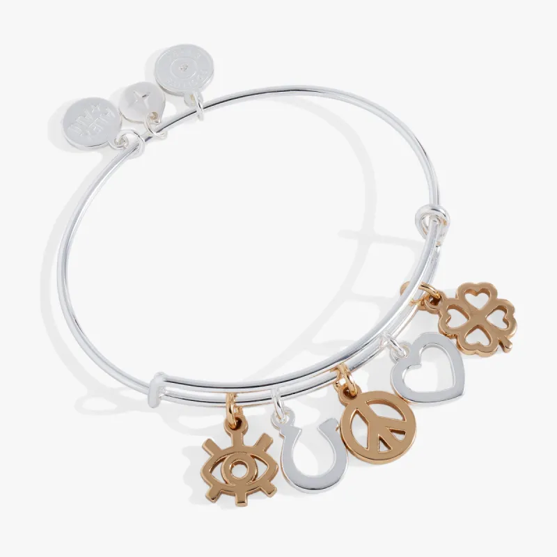 Mixed Symbol Multi-Charm Bangle sold by Alex and Ani