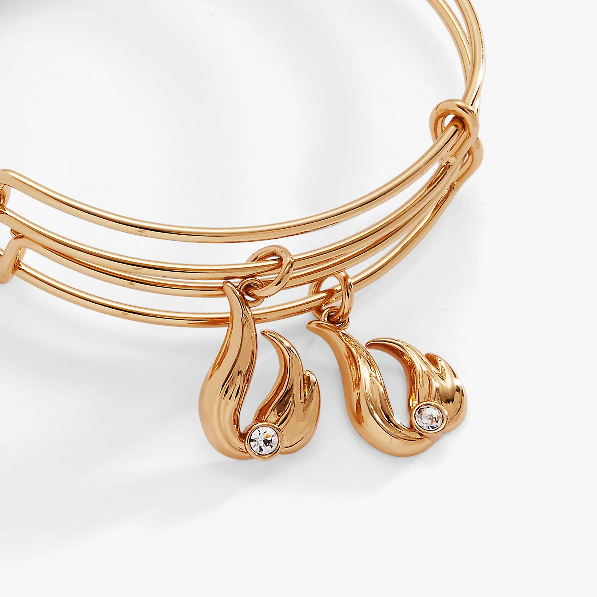 Twin Flame BFF Bangle Set of 2 sold by Alex and Ani product image thumbnail 2