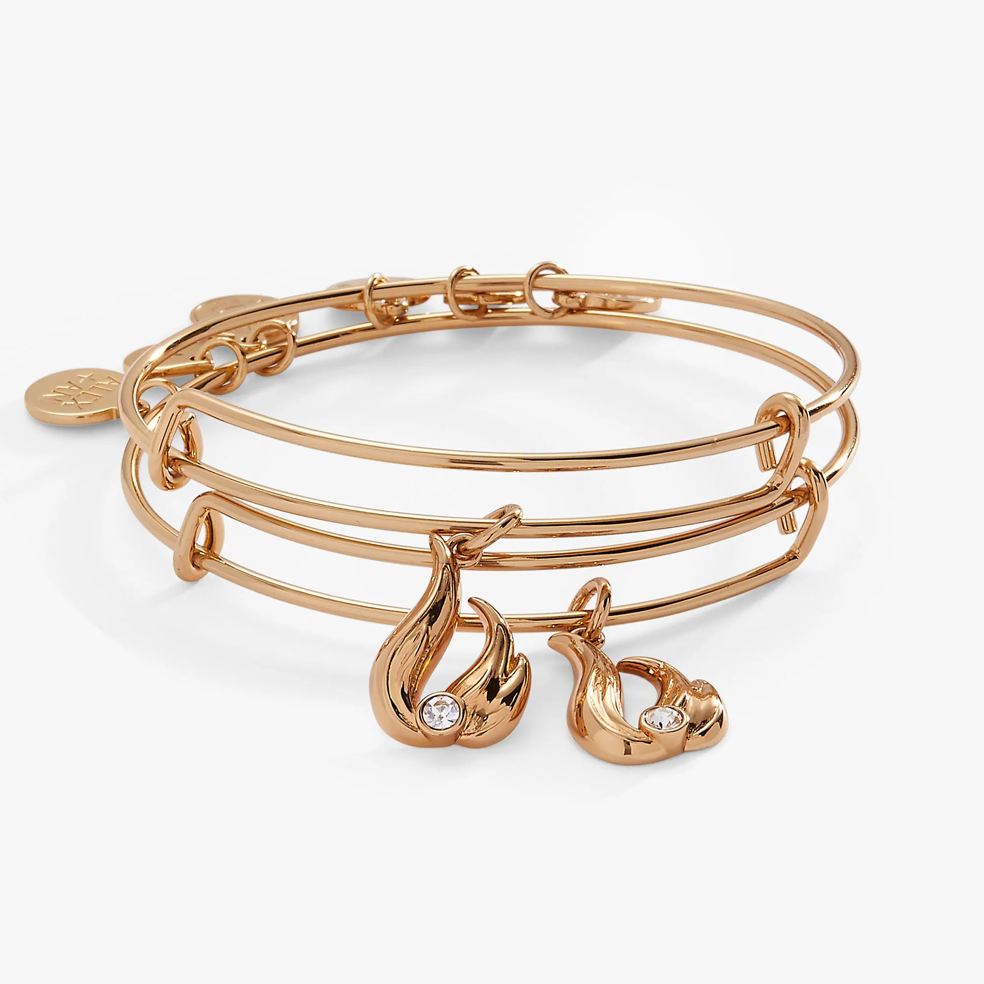 Twin Flame BFF Bangle Set of 2 sold by Alex and Ani