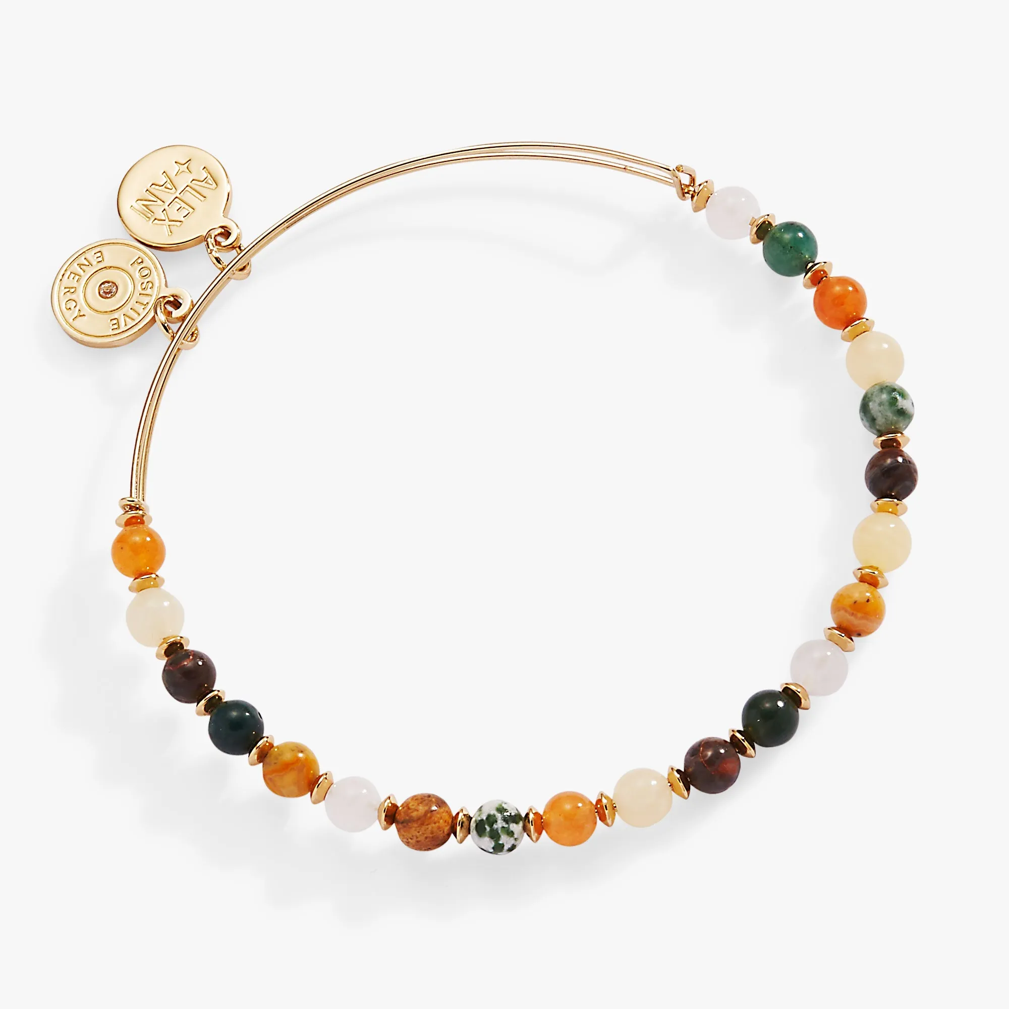 Round Semi-Precious Beaded Bangle sold by Alex and Ani