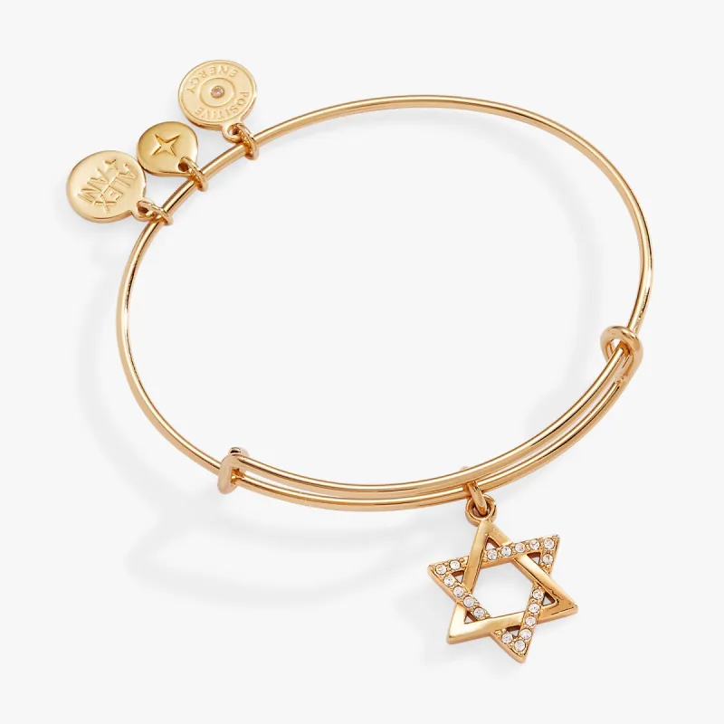 Star of David Bangle made by Alex and Ani