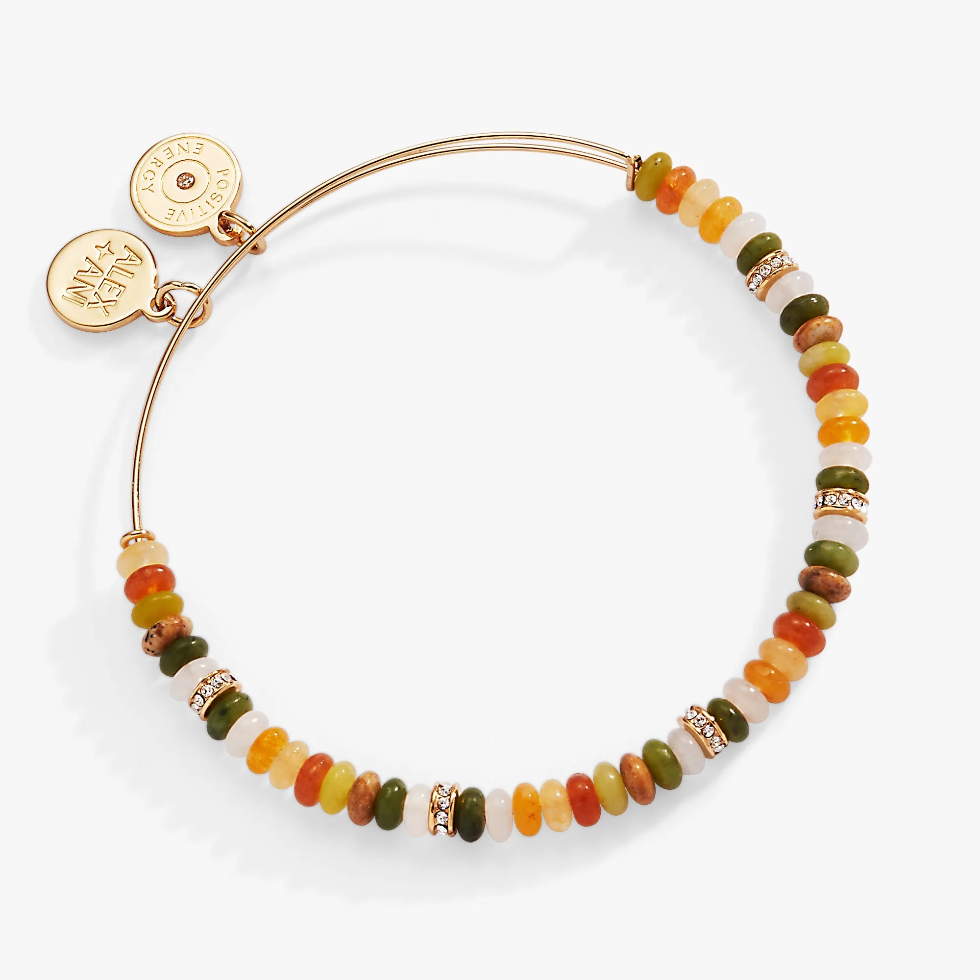 Multi-Color Semi-Precious Beaded Bangle sold by Alex and Ani