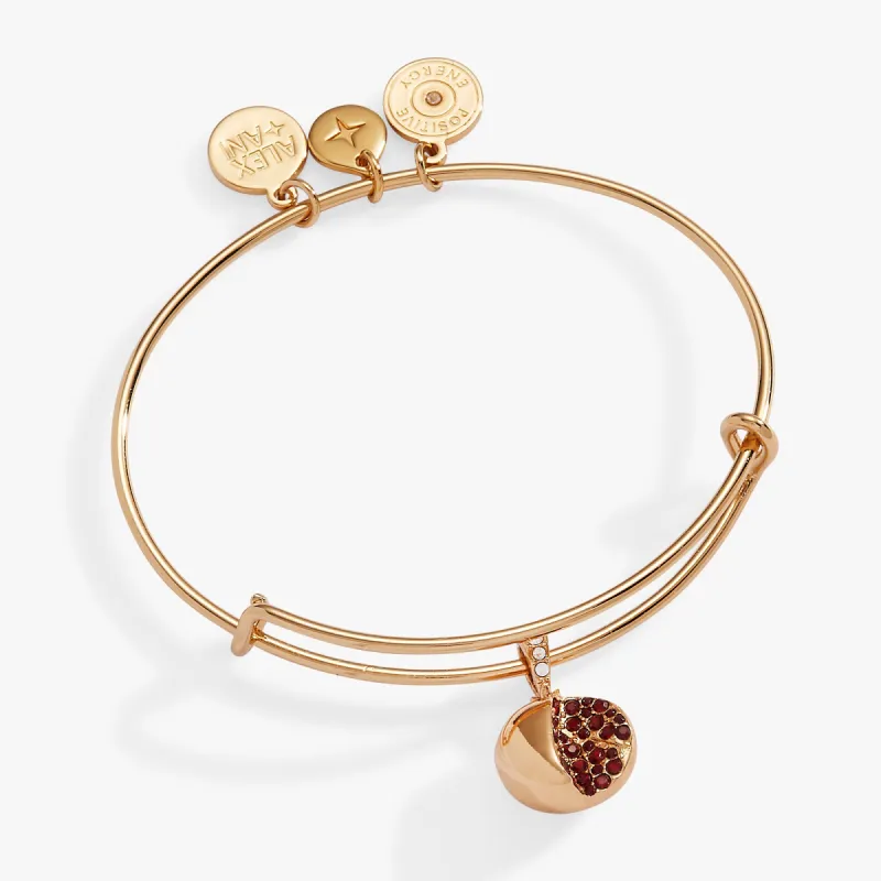 Pomegranate Bangle sold by Alex and Ani