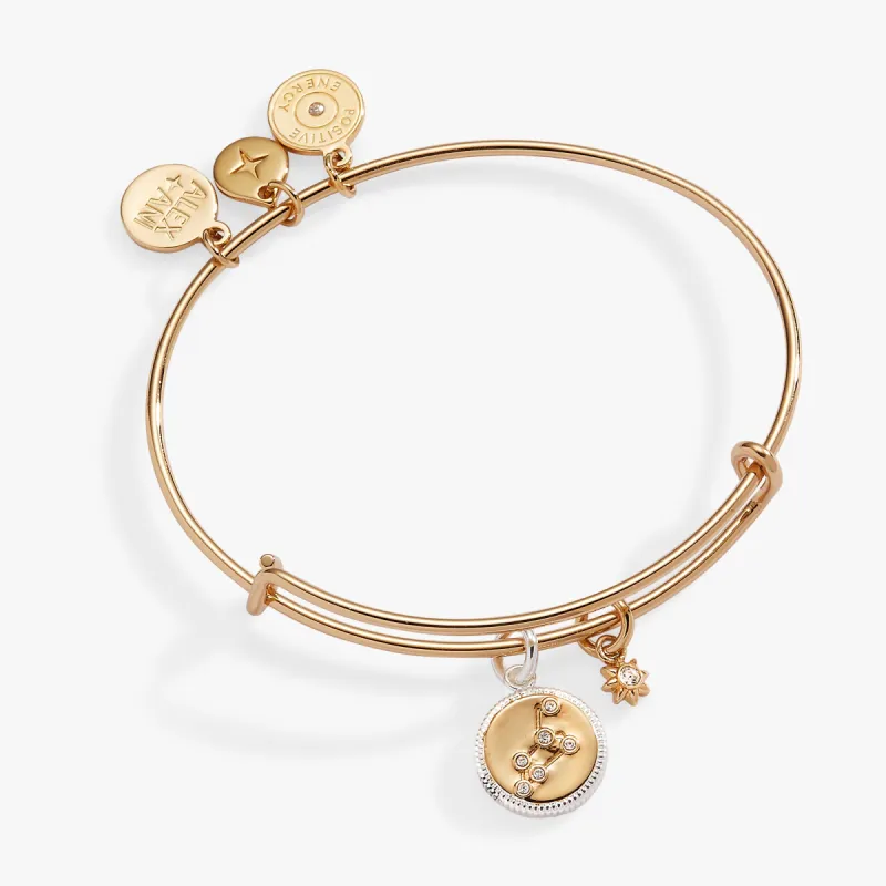 Leo Zodiac Charm Bangle sold by Alex and Ani