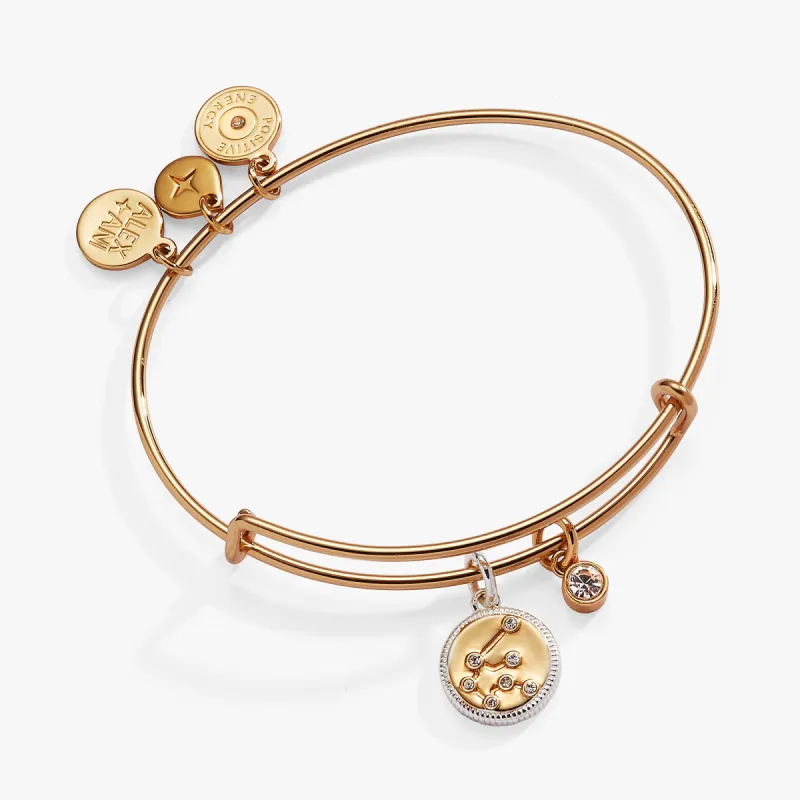 Aquarius Zodiac Charm Bangle sold by Alex and Ani