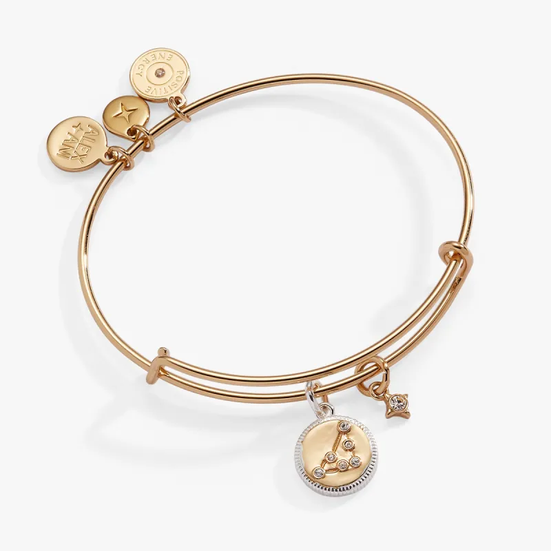 Capricorn Zodiac Charm Bangle sold by Alex and Ani