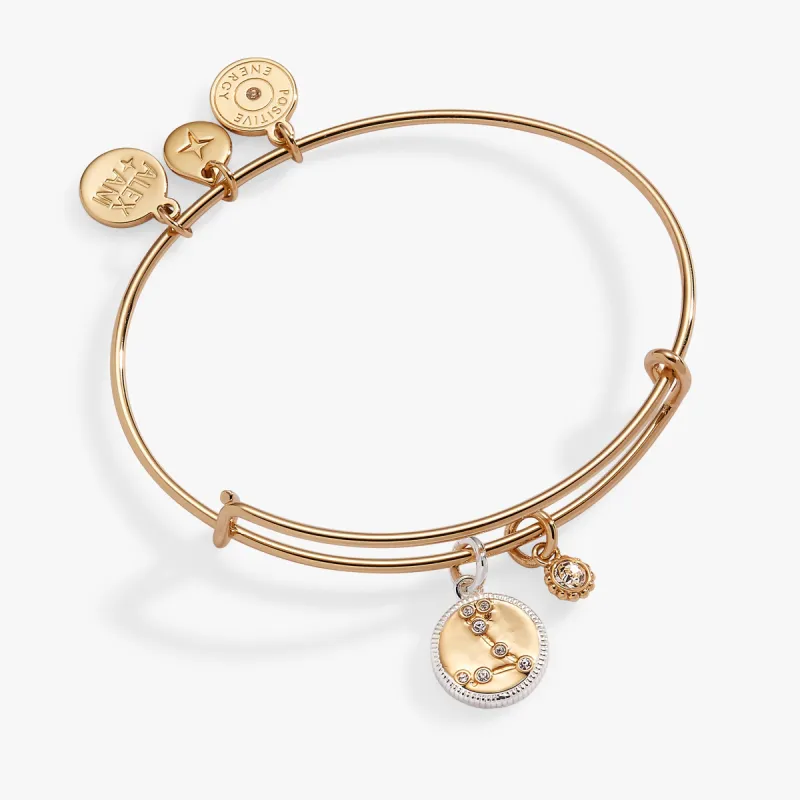Pisces Zodiac Charm Bangle sold by Alex and Ani