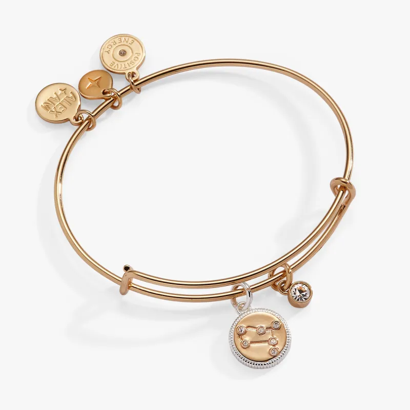 Gemini Zodiac Charm Bangle sold by Alex and Ani
