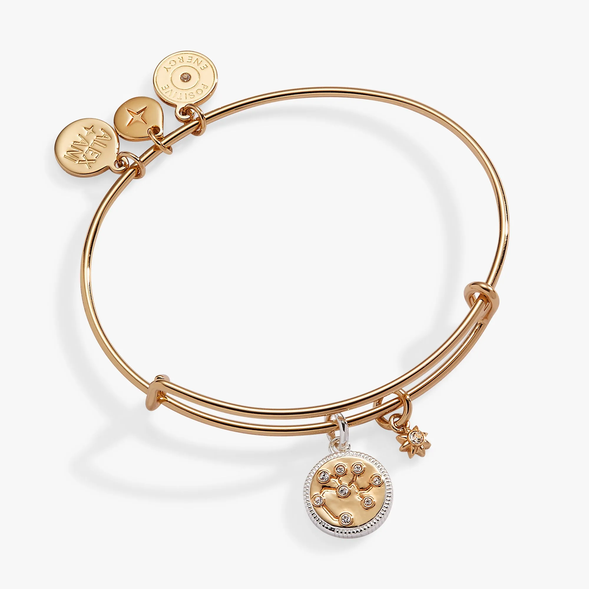 Sagittarius Zodiac Charm Bangle sold by Alex and Ani