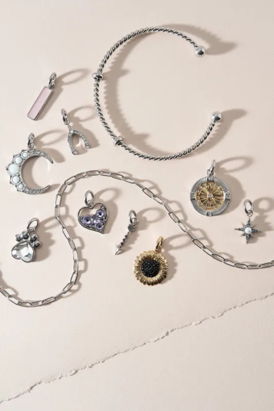 Silver Charm Bundle sold by Alex and Ani