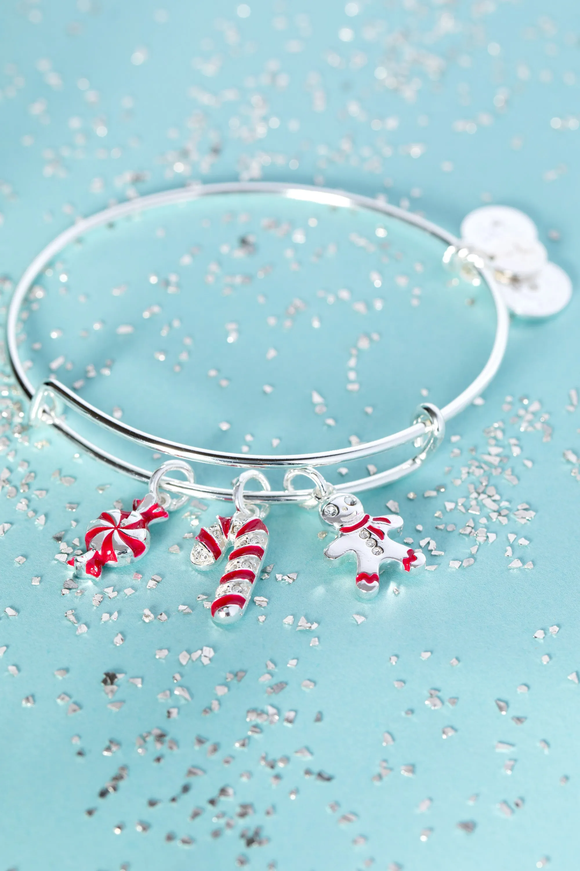 Holiday Candy Cane Charm Bangle sold by Alex and Ani product image thumbnail 5