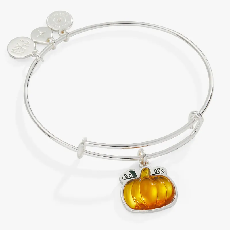 Pumpkin Charm Bangle sold by Alex and Ani