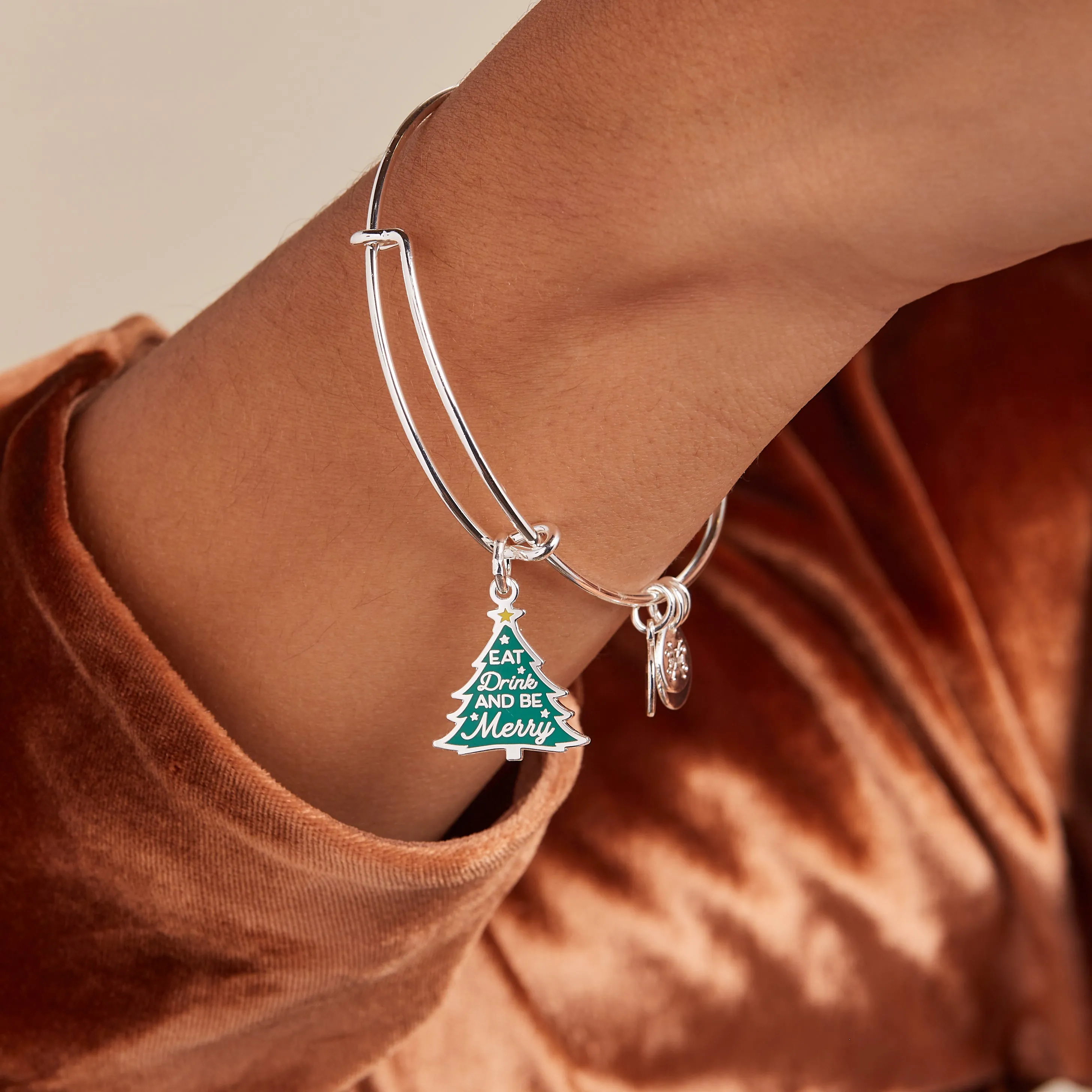 'Eat, Drink, and Be Merry' Charm Bangle sold by Alex and Ani product image thumbnail 2