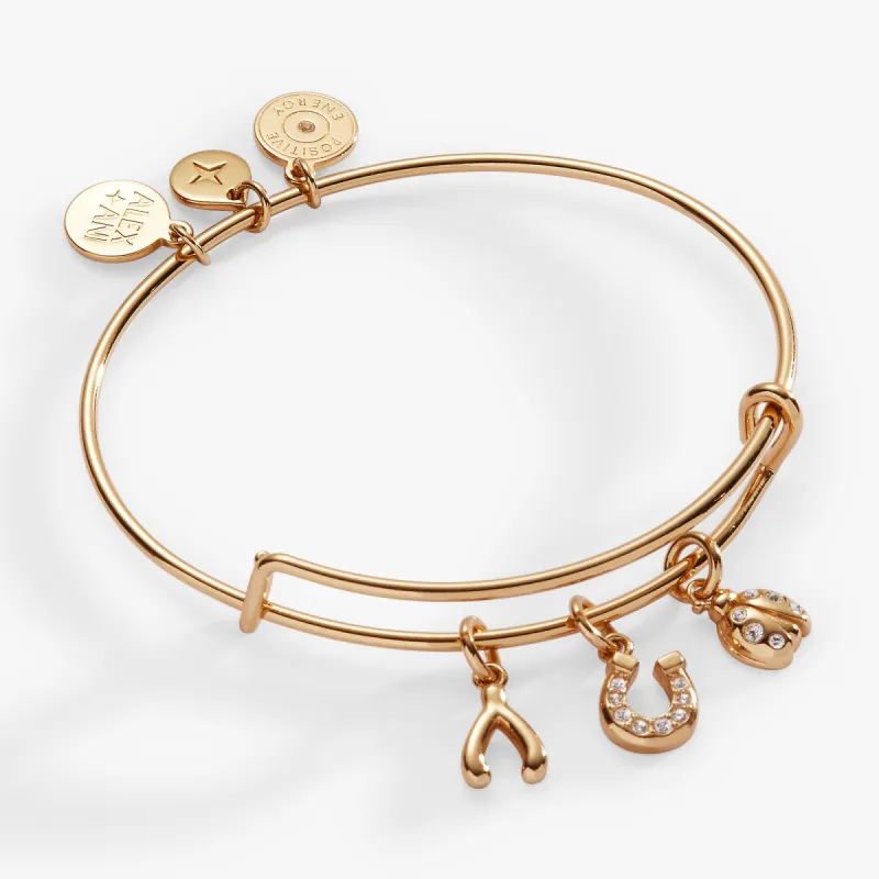 Love and Luck Multi-Charm Bangle sold by Alex and Ani