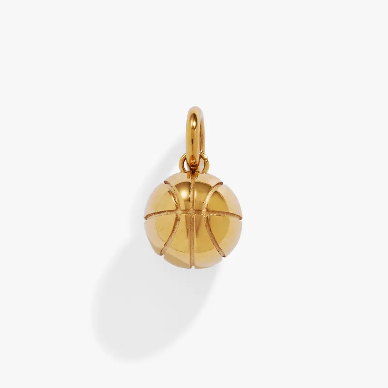 Basketball Interchangeable Charm sold by Alex and Ani