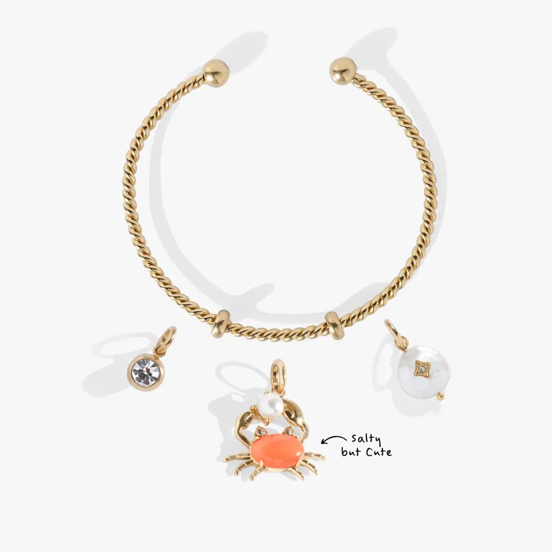 Shell Yeah Charm Bundle sold by Alex and Ani