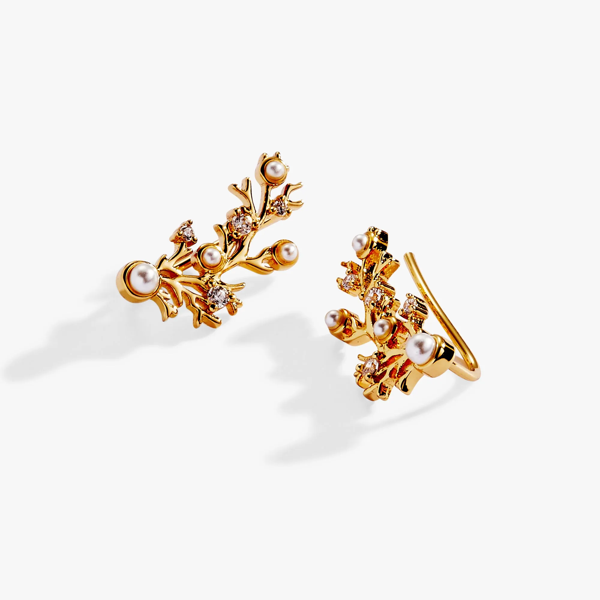 Coral Ear Crawler sold by Alex and Ani