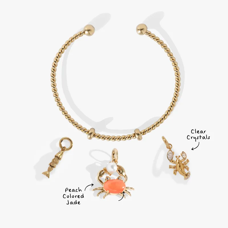 Catch of the Day Charm Bundle sold by Alex and Ani
