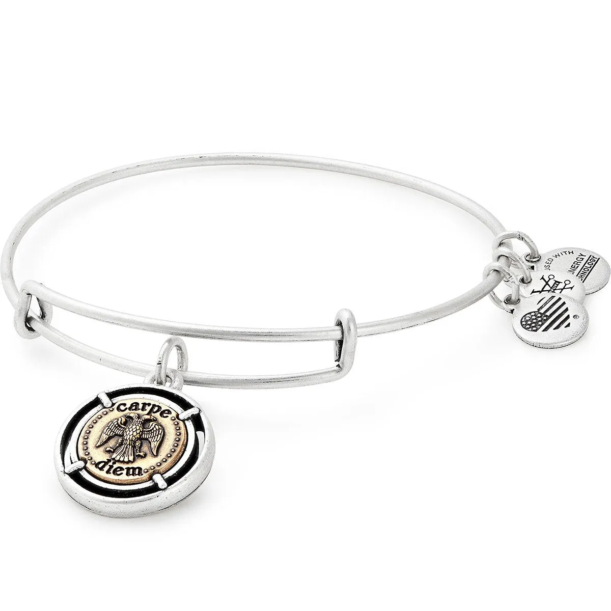 'Carpe Diem' Charm Bangle sold by Alex and Ani