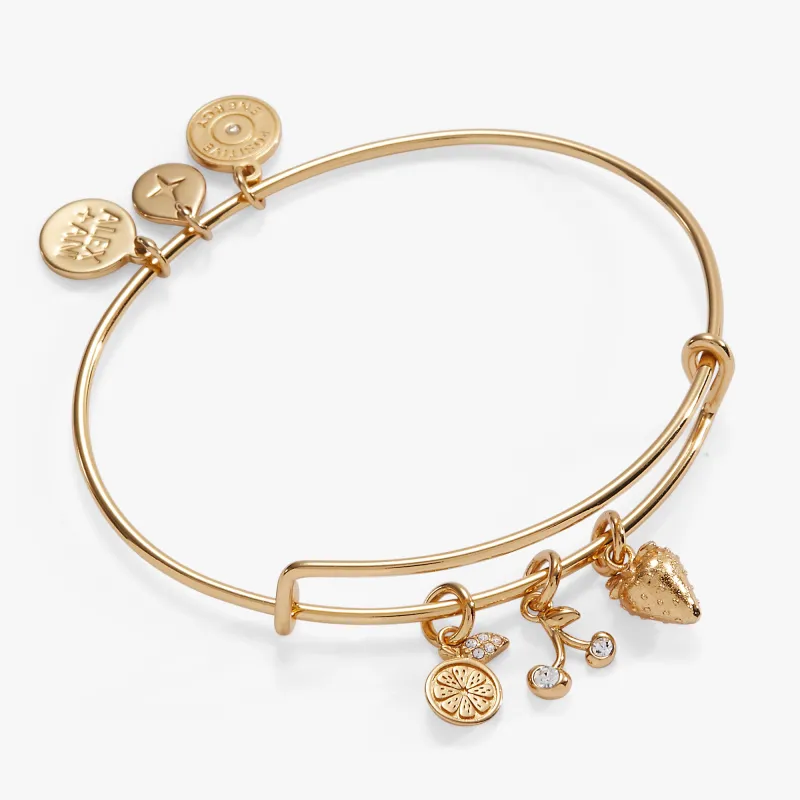 Summer Fruits Charm Bangle sold by Alex and Ani