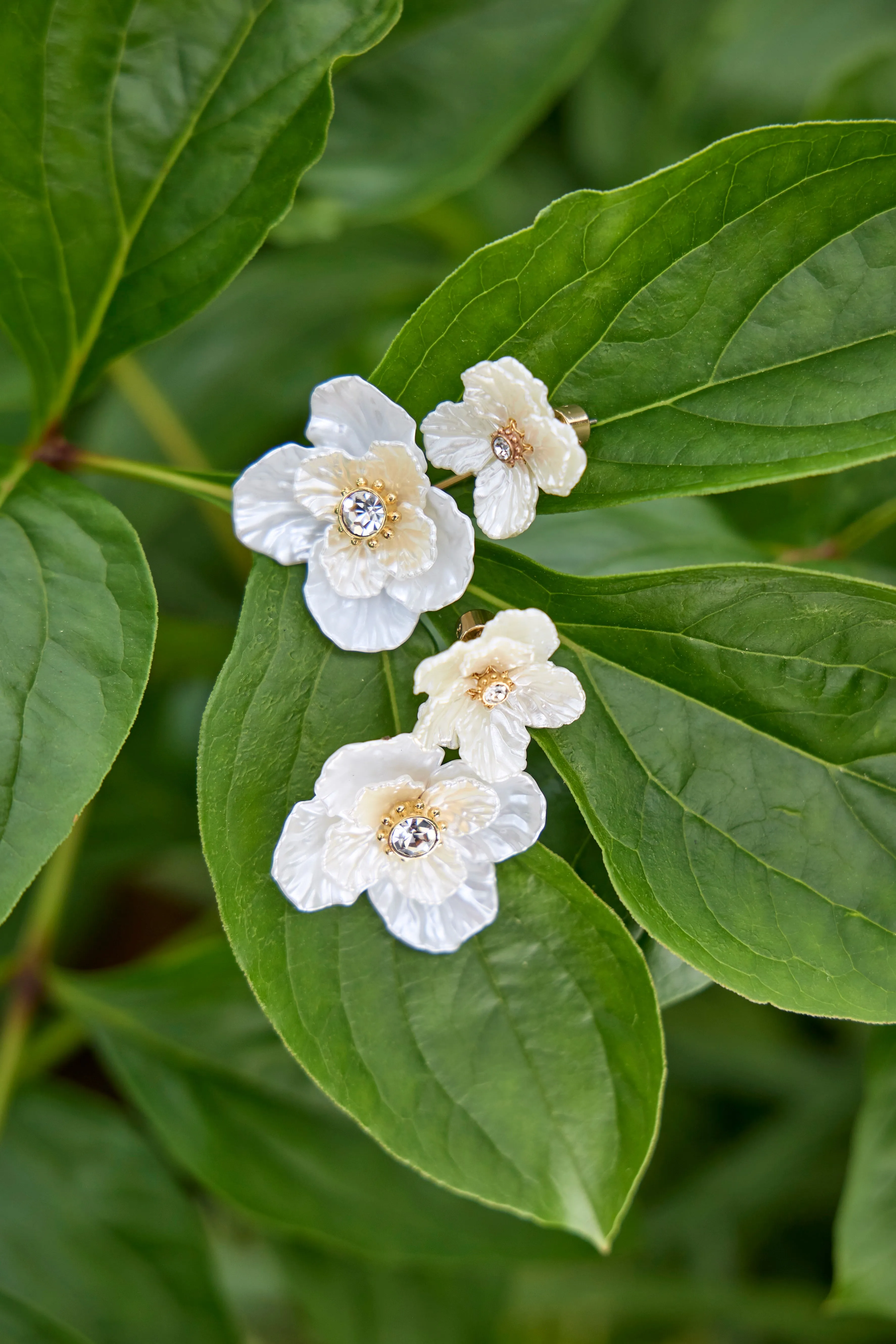 New York Botanical Garden® 2-in-1 Poppy Statement Earrings sold by Alex and Ani product image thumbnail 5