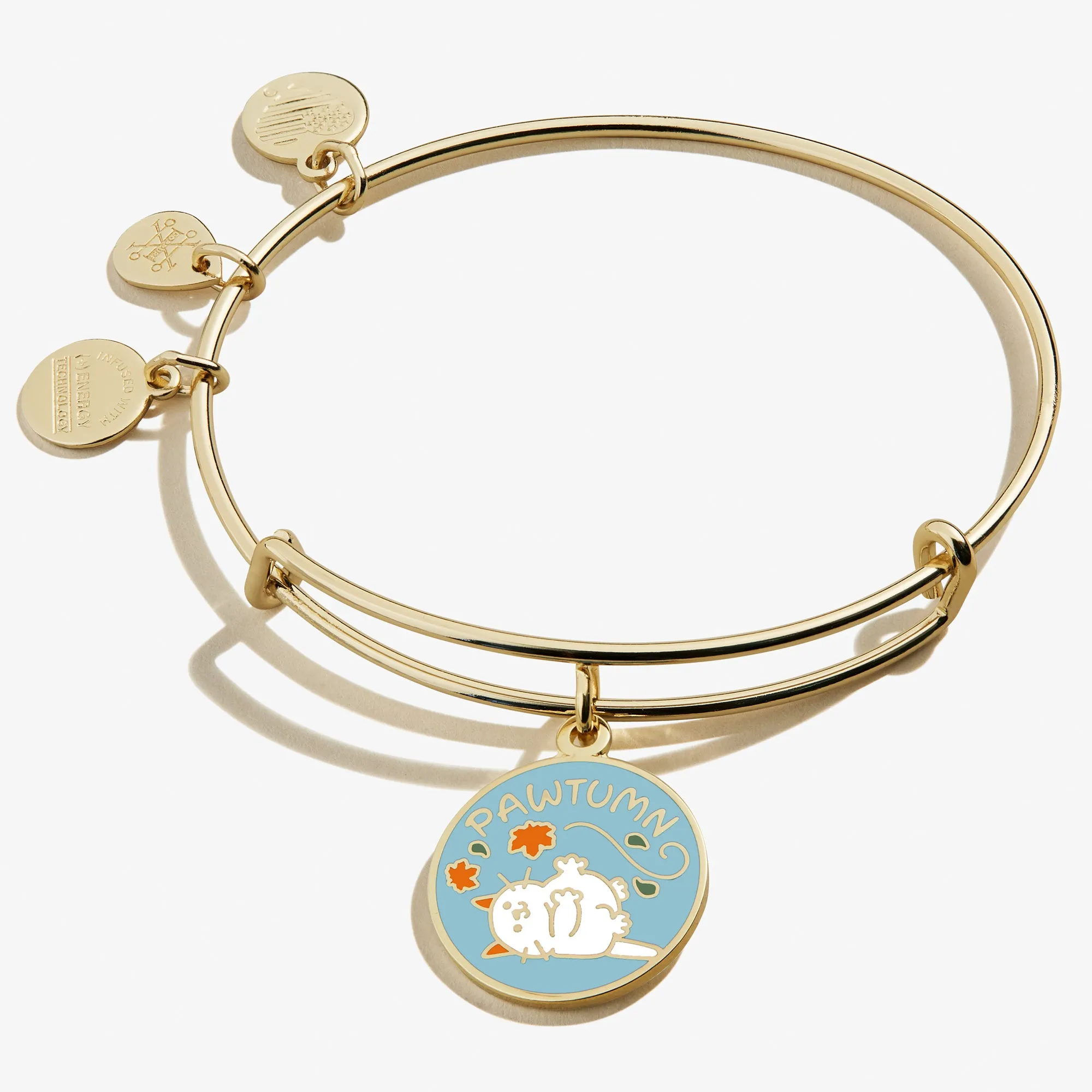 'Pawtumn' Cat Fall Leaves Charm Bangle sold by Alex and Ani