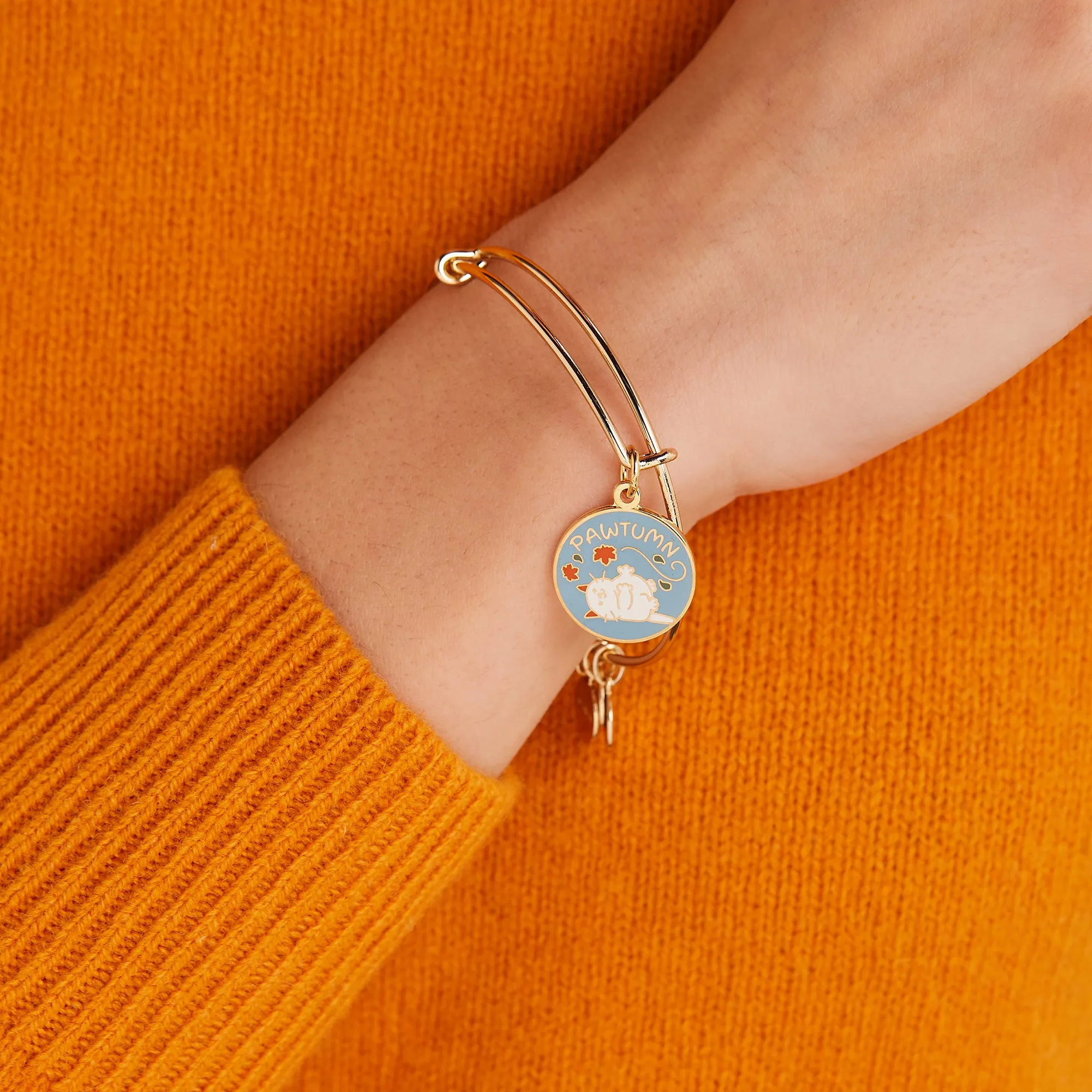 'Pawtumn' Cat Fall Leaves Charm Bangle sold by Alex and Ani product image thumbnail 2