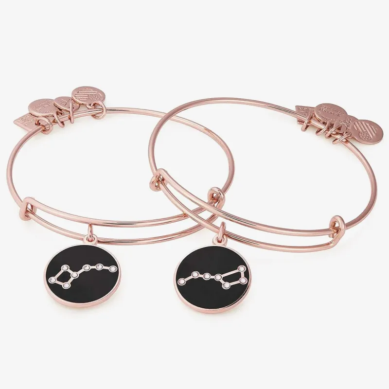 Big And Little Dipper Celestial Charm Bangles, Set of 2 made by Alex and Ani