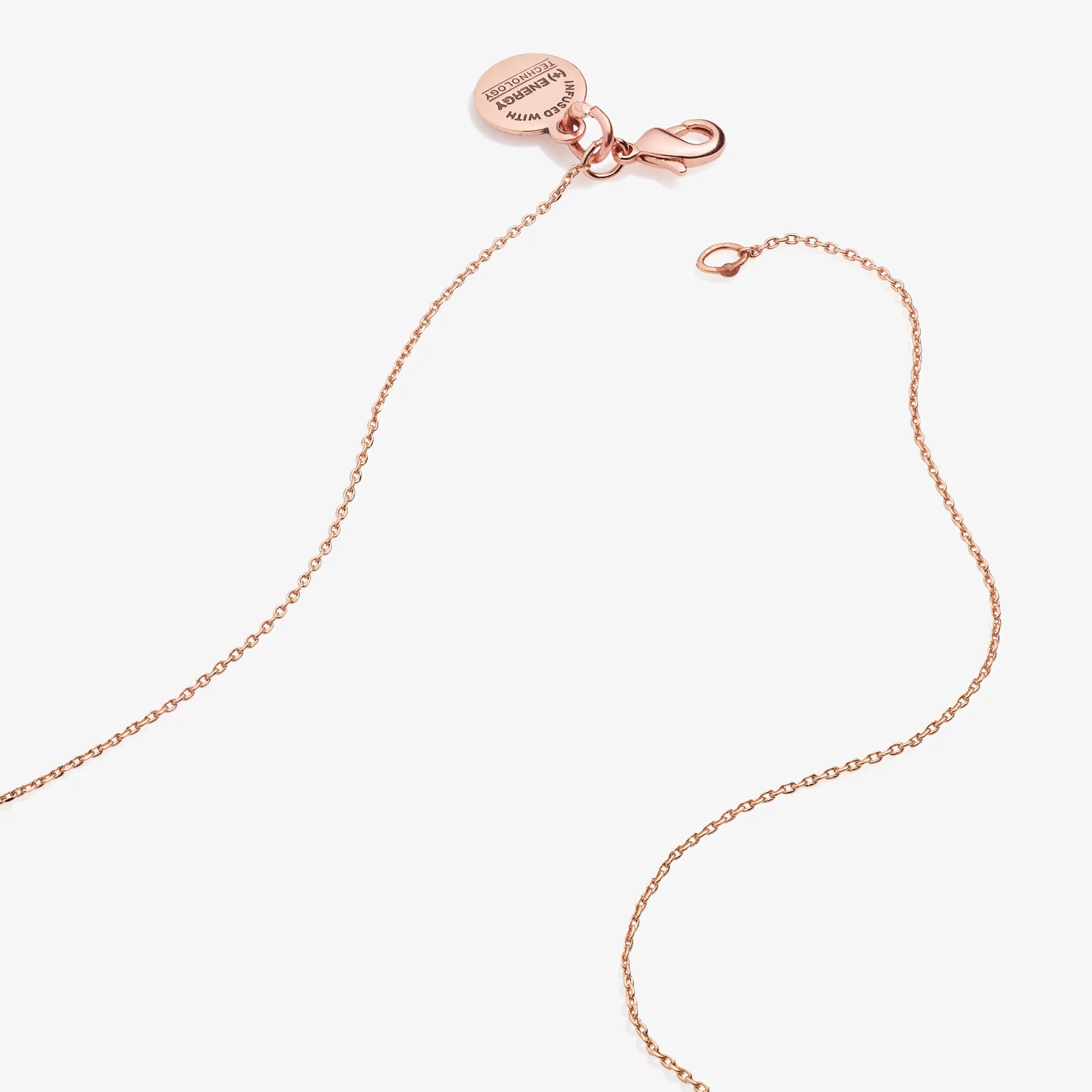 New Beginnings Charm + Onyx Necklace sold by Alex and Ani product image thumbnail 2