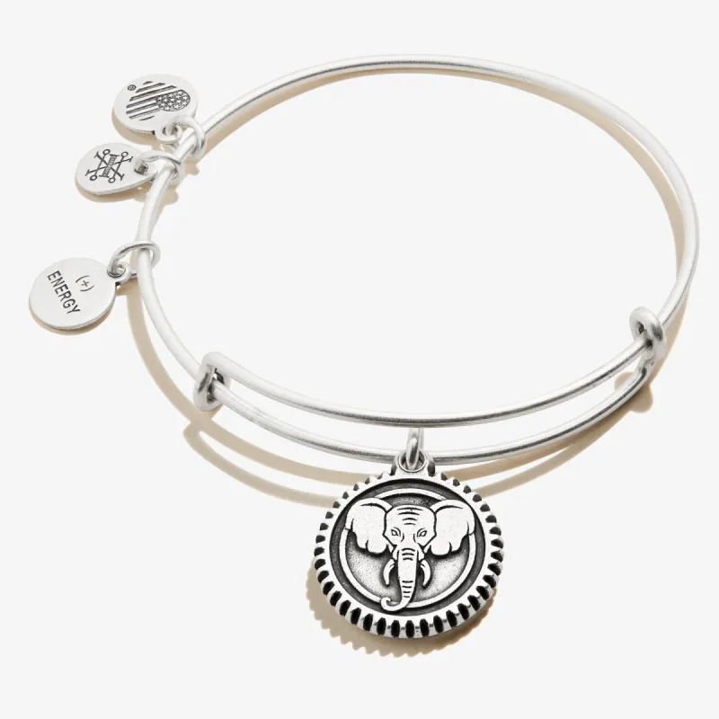 Elephant Embossed Charm Bangle sold by Alex and Ani