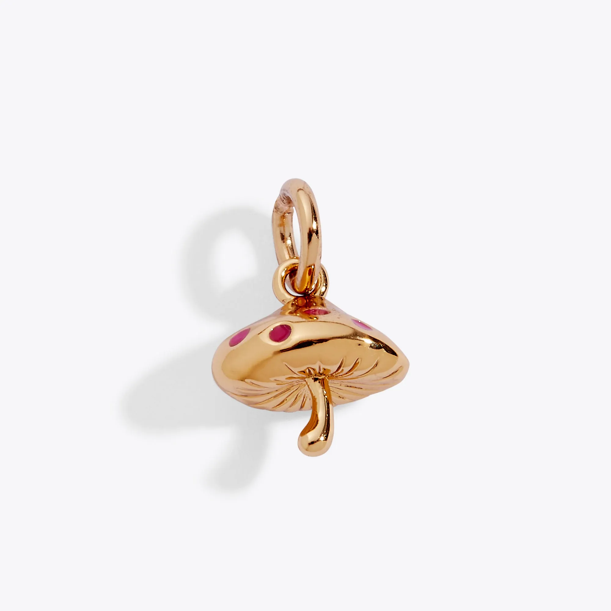 Fall Whimsy Charm Bundle sold by Alex and Ani product image thumbnail 2