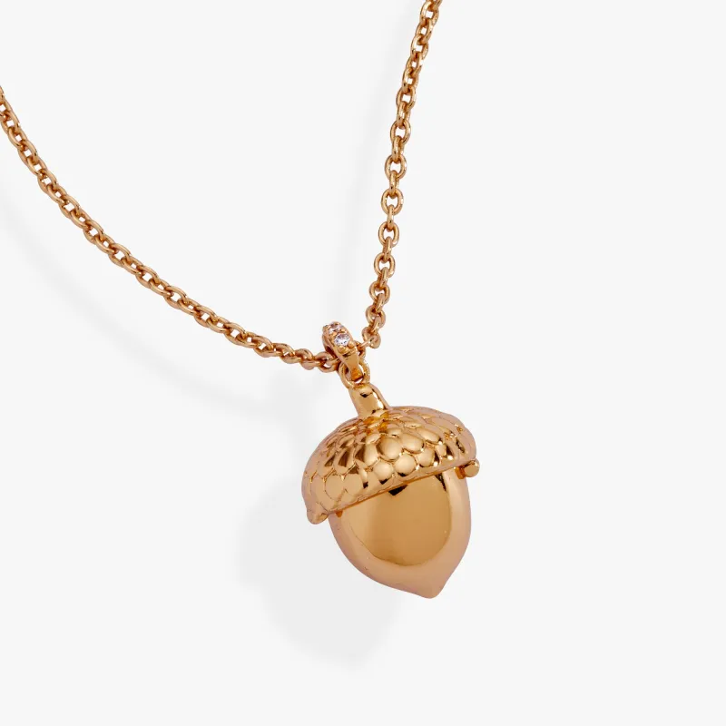 Woodland Acorn & Hidden Squirrel Locket Necklace sold by Alex and Ani
