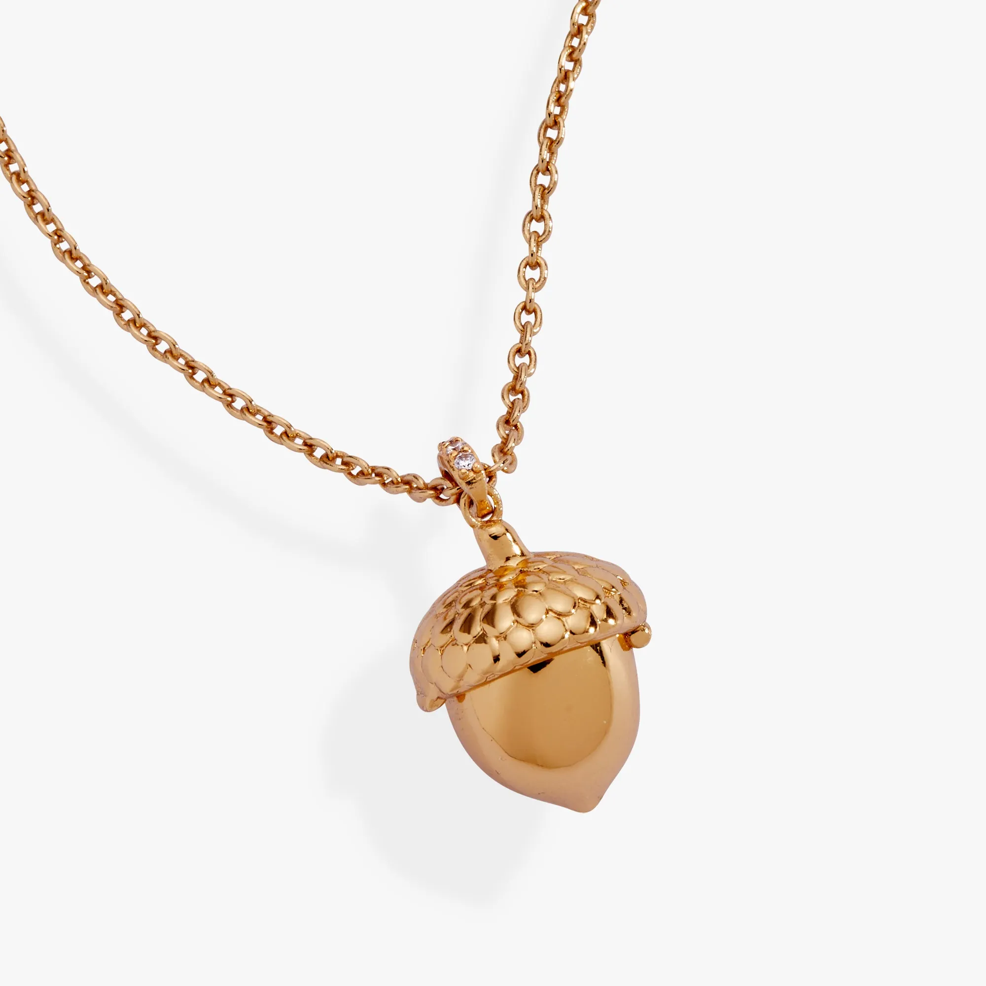 Woodland Acorn & Hidden Squirrel Locket Necklace sold by Alex and Ani