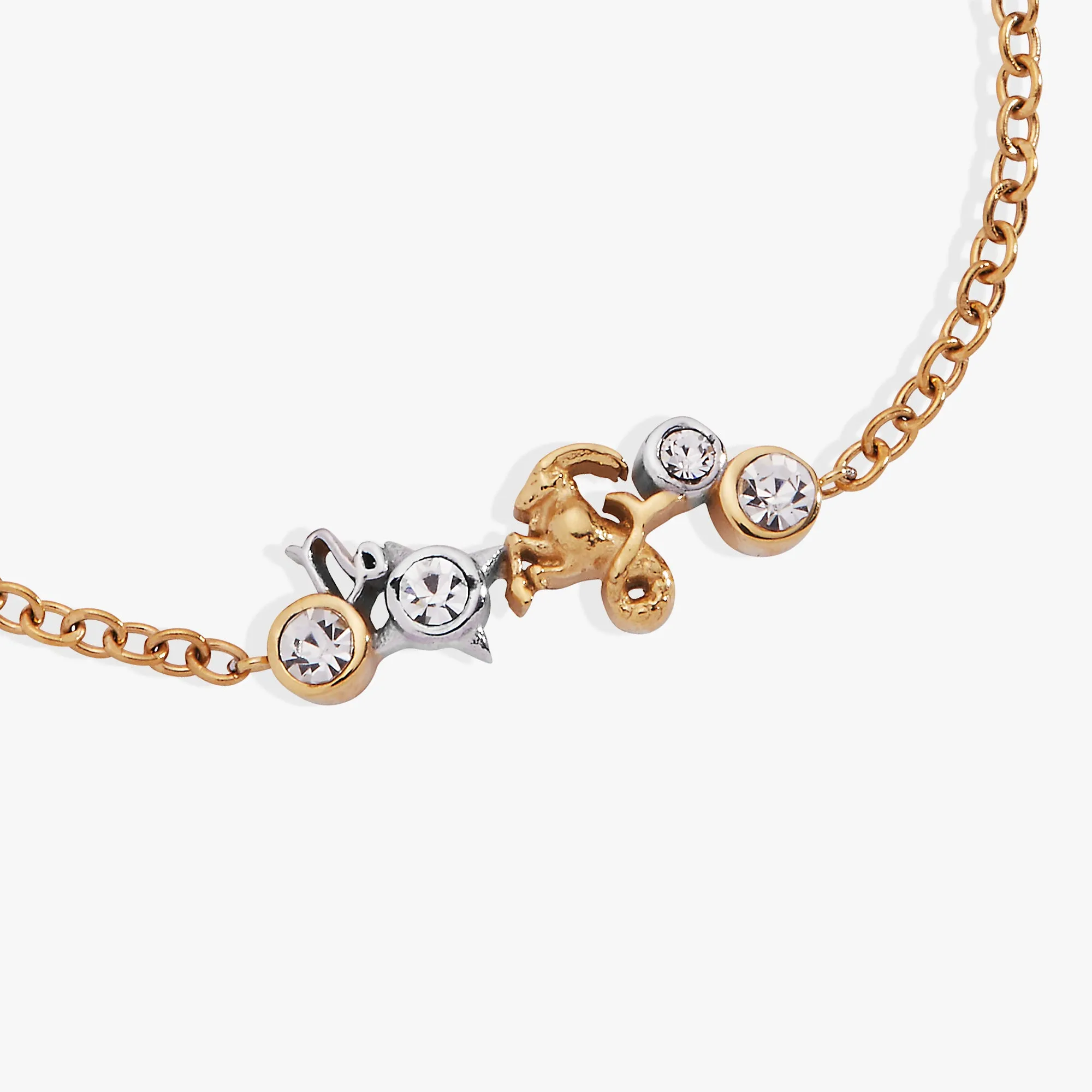 Capricorn Zodiac Inline Bracelet sold by Alex and Ani product image thumbnail 3